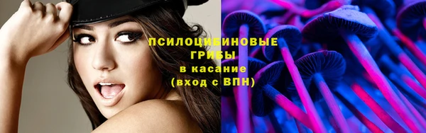 синтетический гашиш Новодвинск