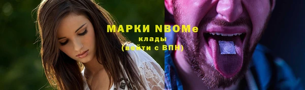 хмурый Новозыбков