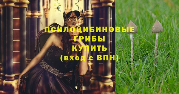 синтетический гашиш Новодвинск