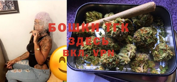 хмурый Новозыбков