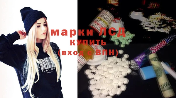 хмурый Новозыбков