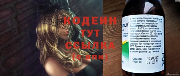 хмурый Новозыбков
