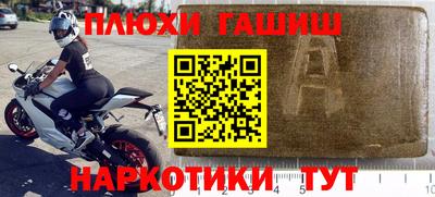 прущие грибы Ирбит
