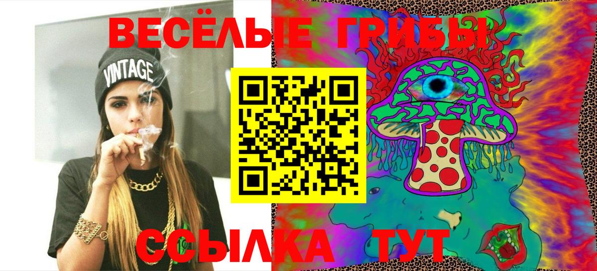 Ярцево  где продают наркотики  Вход с VPN  Псилоцибиновые грибы Magic Shrooms  Псилоцибиновые грибы Cubensis 