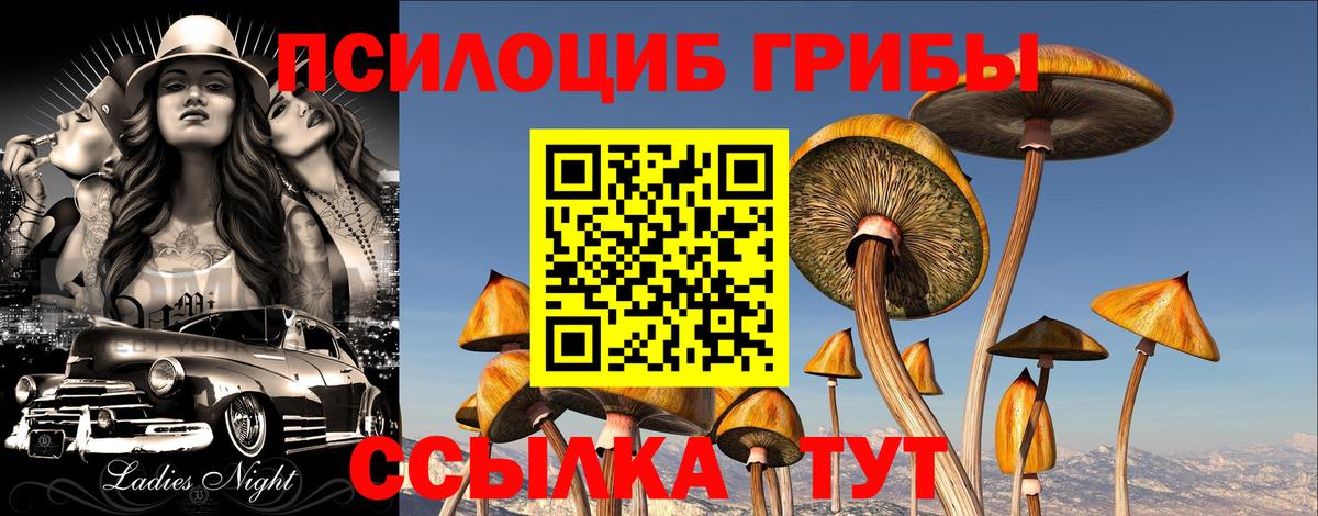 где купить наркоту  Ярцево  Галлюциногенные грибы мицелий 